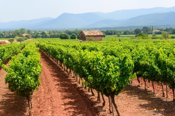 Découvrez les circuits viticoles en Provence pour une expérience unique !