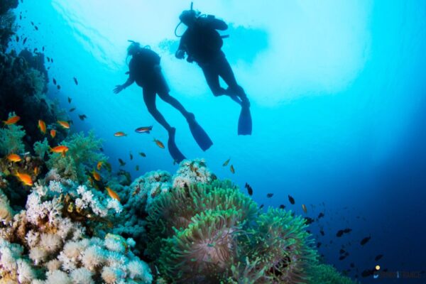 Les meilleurs spots snorkeling : plongez dans les eaux cristallines !